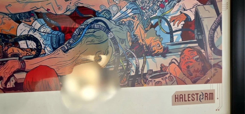 HALESTORM LIMITED EDITION FAN CLUB LITHOGRAPH STRANGE CASE OF VERY RARE! NICE! - Image 2 of 4