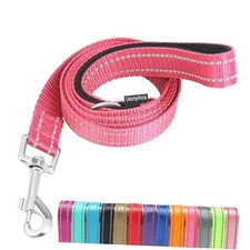 Reflective Nylon Dog Leash for Walking,Strong Dog Leash with 1" x 6 FT Hot pink