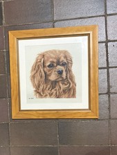 Mounted & Framed Cross Stitch Tapestry  0f King Charles Spaniel M804