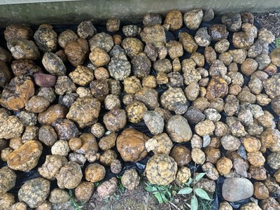 Geodes Break Your own bundle , Indiana Minerals Crystals, gems, collectible 