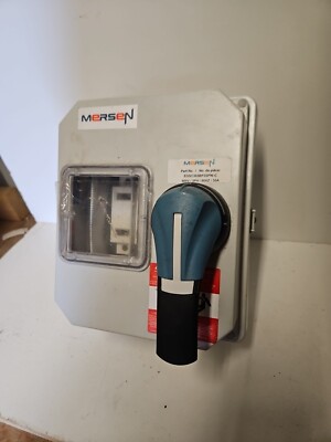 Ferraz Shawmut Mersen EGSC303BP3SPW-C Enclosed Disconnect Switch  New