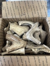 9 Pounds Real Medium Whitetail Deer Antler Dog Chews For Medium Sized Dogs 312