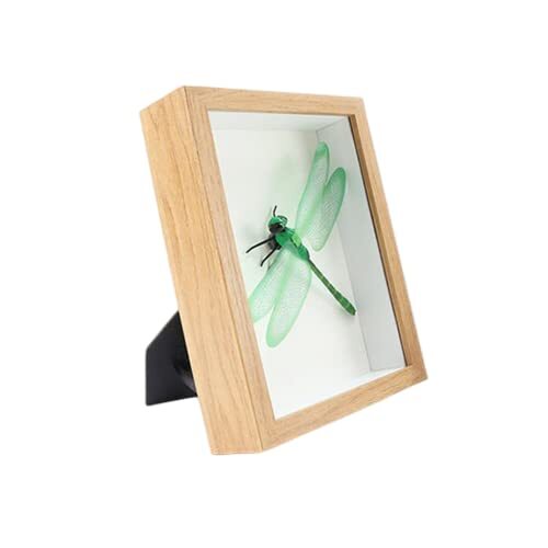 Shadow Box Display Case,1.2