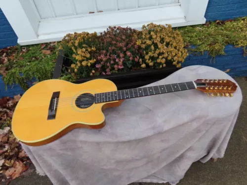 GIBSON CHET ATKINS ELECTRIC 12 STRING  1 OWNER MINT!  AMAZING w/papers