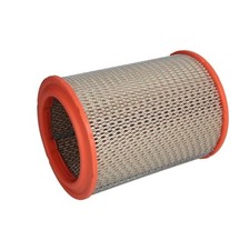 Filtro Aria Filtron AR252