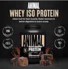 Animal R3 Animal Whey Isolate Protein Powder, 25G High Protein | Brownie Batter ...