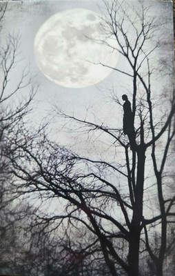Vintage Photochrome Postcard Full Moon Silhouette Tree Scene 5.5x4''