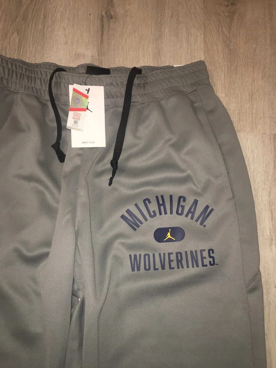 Nike Air Jordan Michigan Wolverines DRI FIT Joggers Pants Mens Large DD6369 002