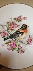 Bild 8 von 13