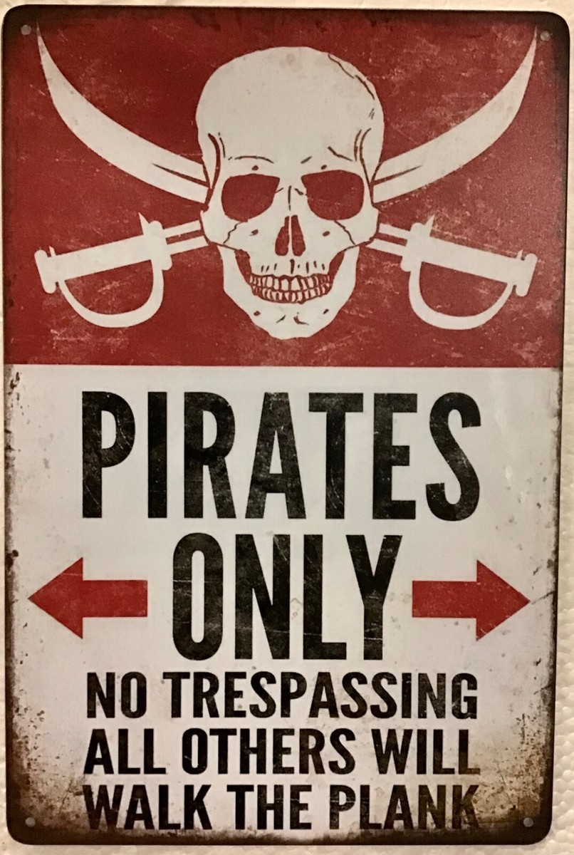 Cartello Metallico Warning - "No Stupid People Beyond This Point", 20x30cm, Decorazione Vintage - Foto 3