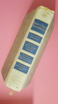 185068 DEBORAH MEIN VATER AUGUSTE RENOIR DAS GESCHENK DER WILDNIS DER STRASSE