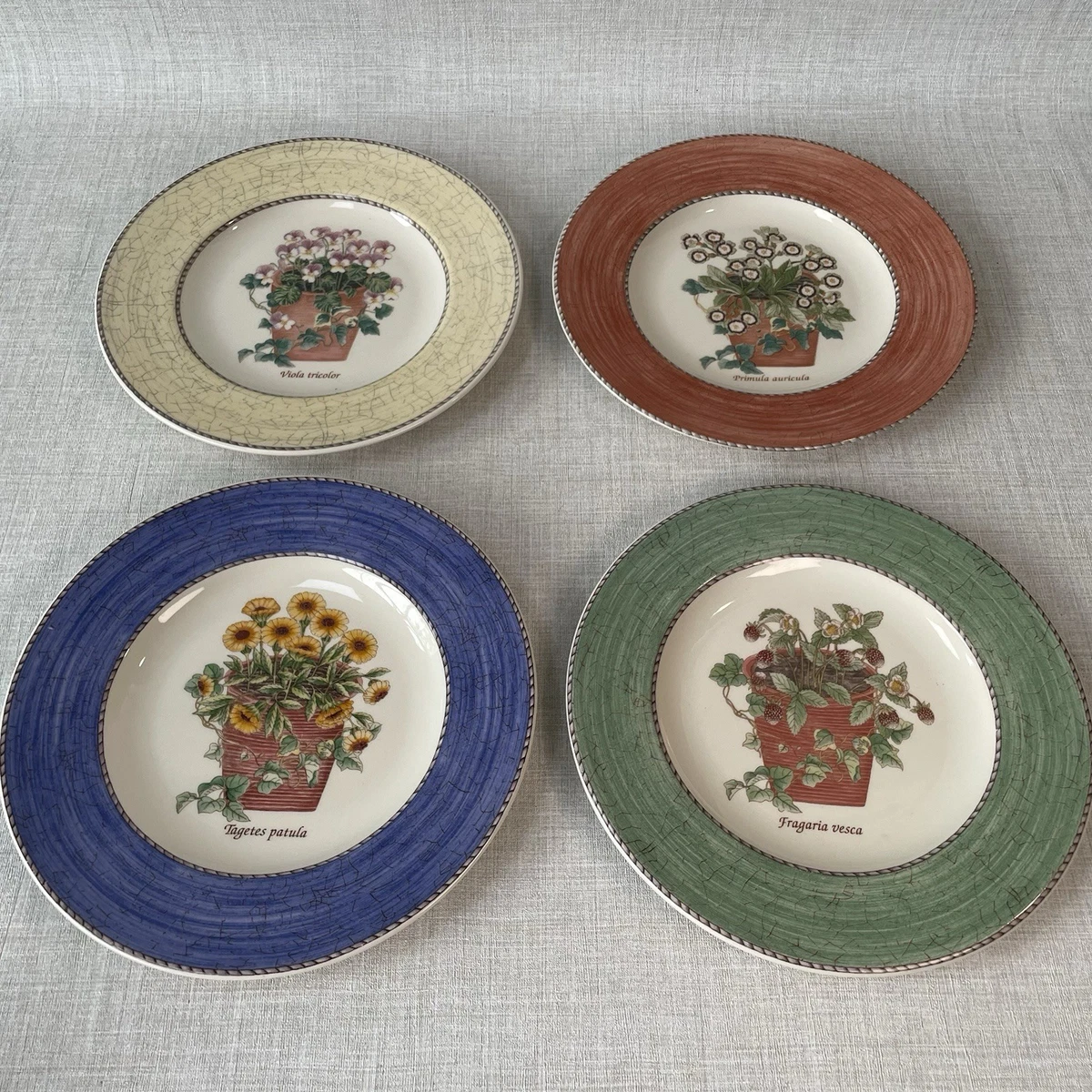 25+ Wedgwood Sarah S Garden for sale | Updated Oct 2026