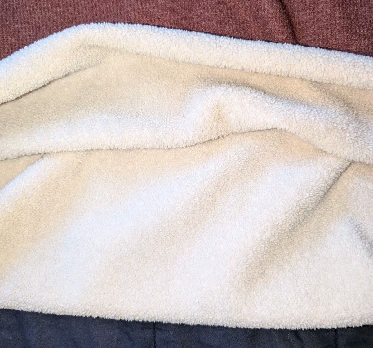 Picture 5 of 5