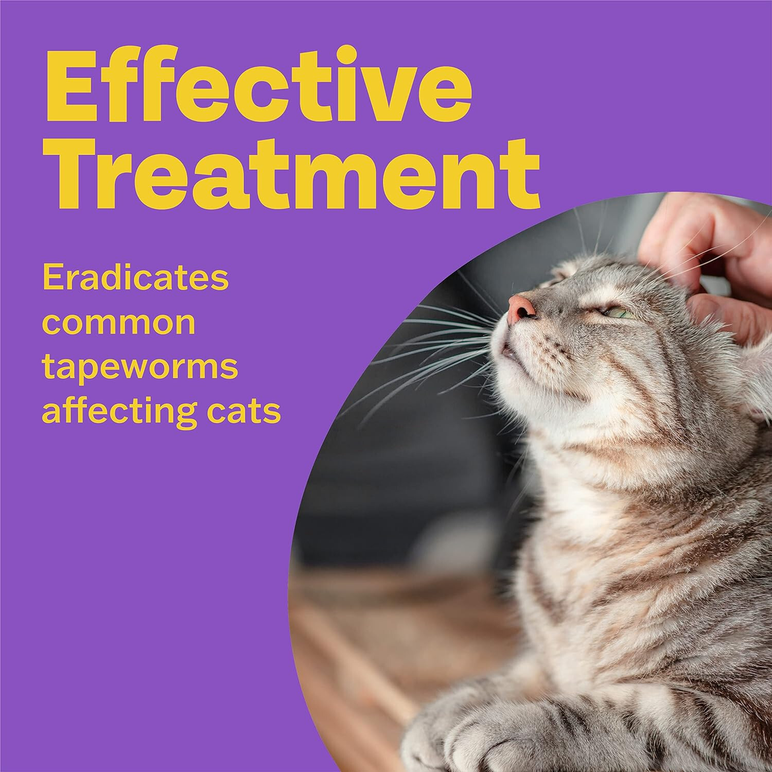 Bob Martin Clear Cat Wormer Spot on for Cat & Kitten over 1kg Worming