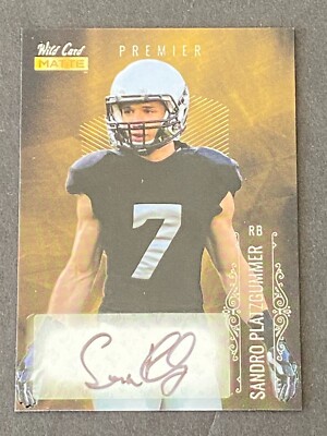 Sandro Platzgummer 2021 Wild Card Matte Premier Auto #MB-A