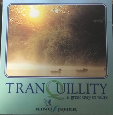 Stephen Welti    Tranquility CD New Age Abient VGC LOOK!!