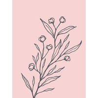 ErröTen Rosa Pflanze Blumen BläTter GroßEr Leinwanddruck 46X61 Cm