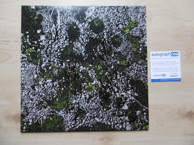 KIng Gizzard & The Lizard Wizard Original Autographs Signed LP Cover Vinyl ACOA