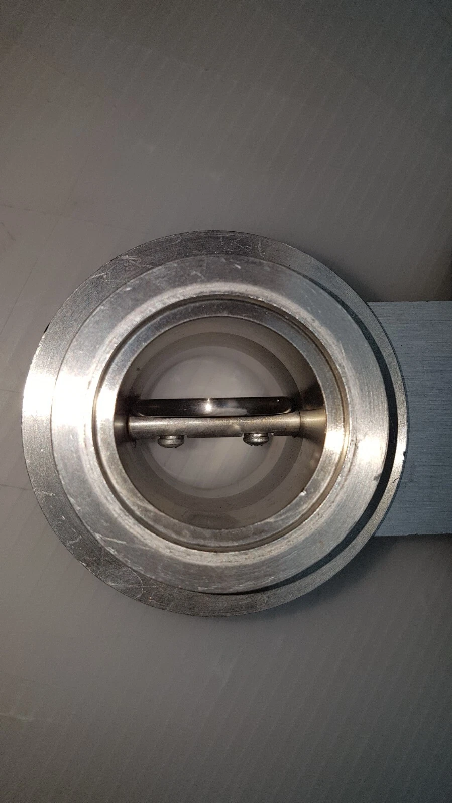 Butterfly flapper inside the stainless steel valve body of the MKS 253A