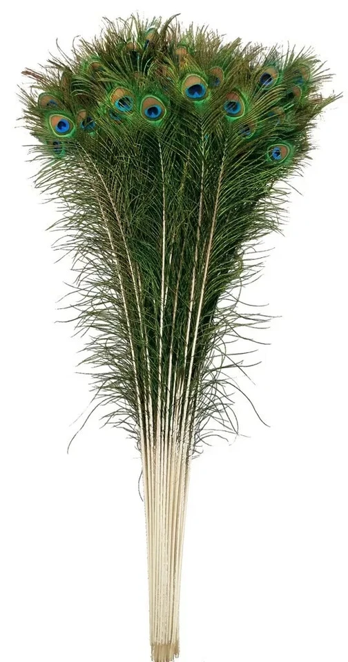 10-50 inches Natural Peacock Feathers with Big Natural Eyes 10-100 Pcs from GA - Image 4 of 4