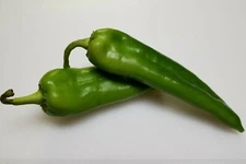 Rattlesnake Chili Pepper, NuMex Chile, Hatch, Spicy, FREE SHIPPING