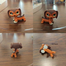 Littlest Pet Shop LPS POPULAR Brown Dachshund Savvy Reed #675 With Magnet