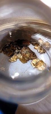 Paydirt Gold Ounce Bags Unsearched Dirt From Alaska, California, Australia Mines