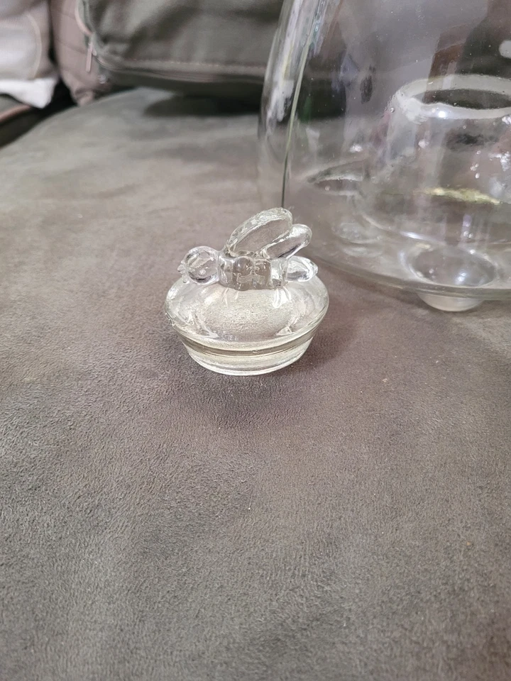 Atrapamoscas/abejas/apajas de vidrio vintage Foto 2 de 4