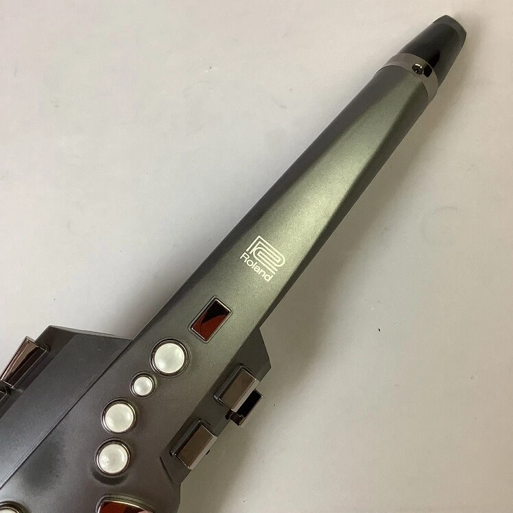 Roland Aerophone AE-10G Digital Wind Instrument Acoustic Saxophone Black  USED