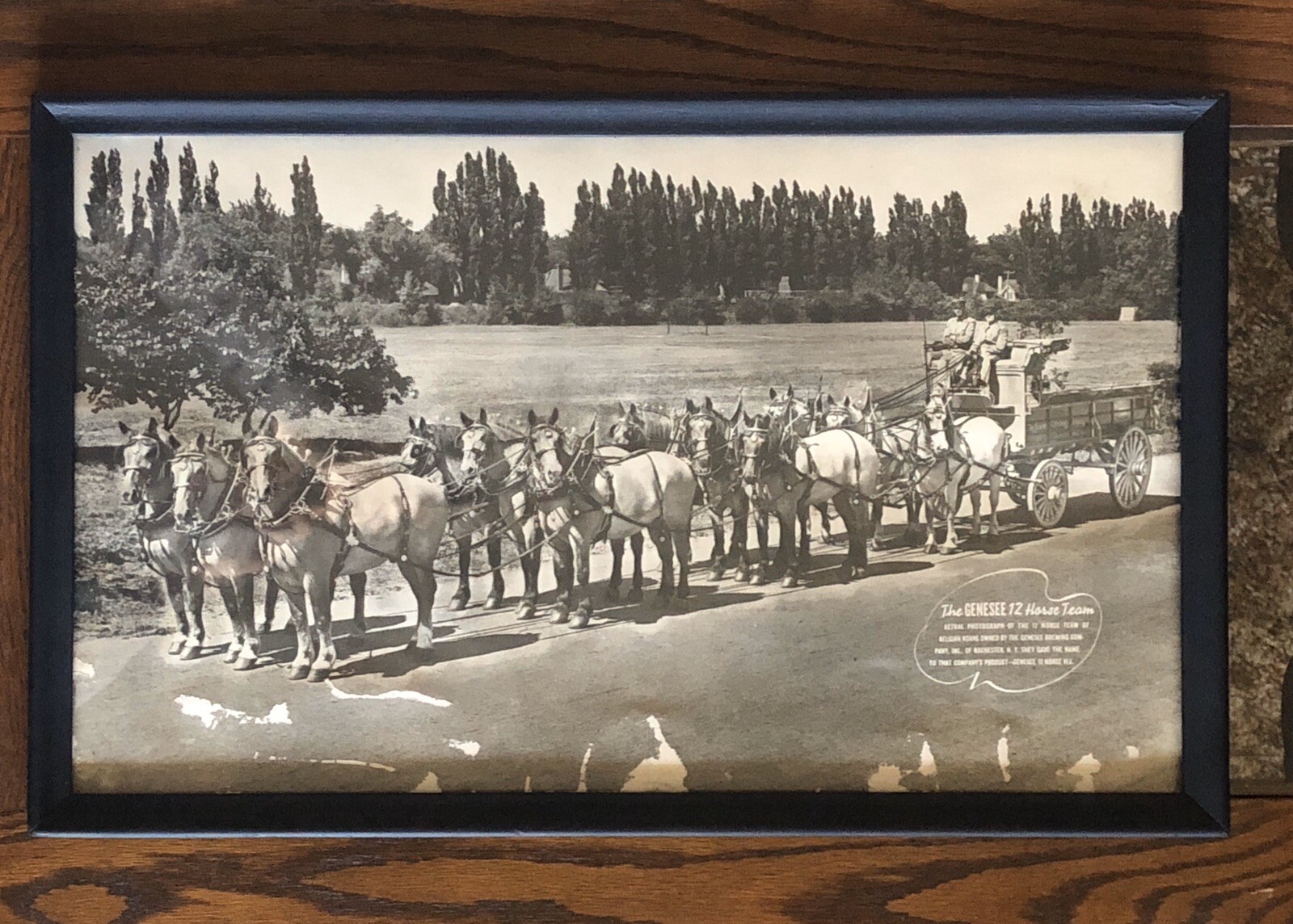 Picture 1 of 12