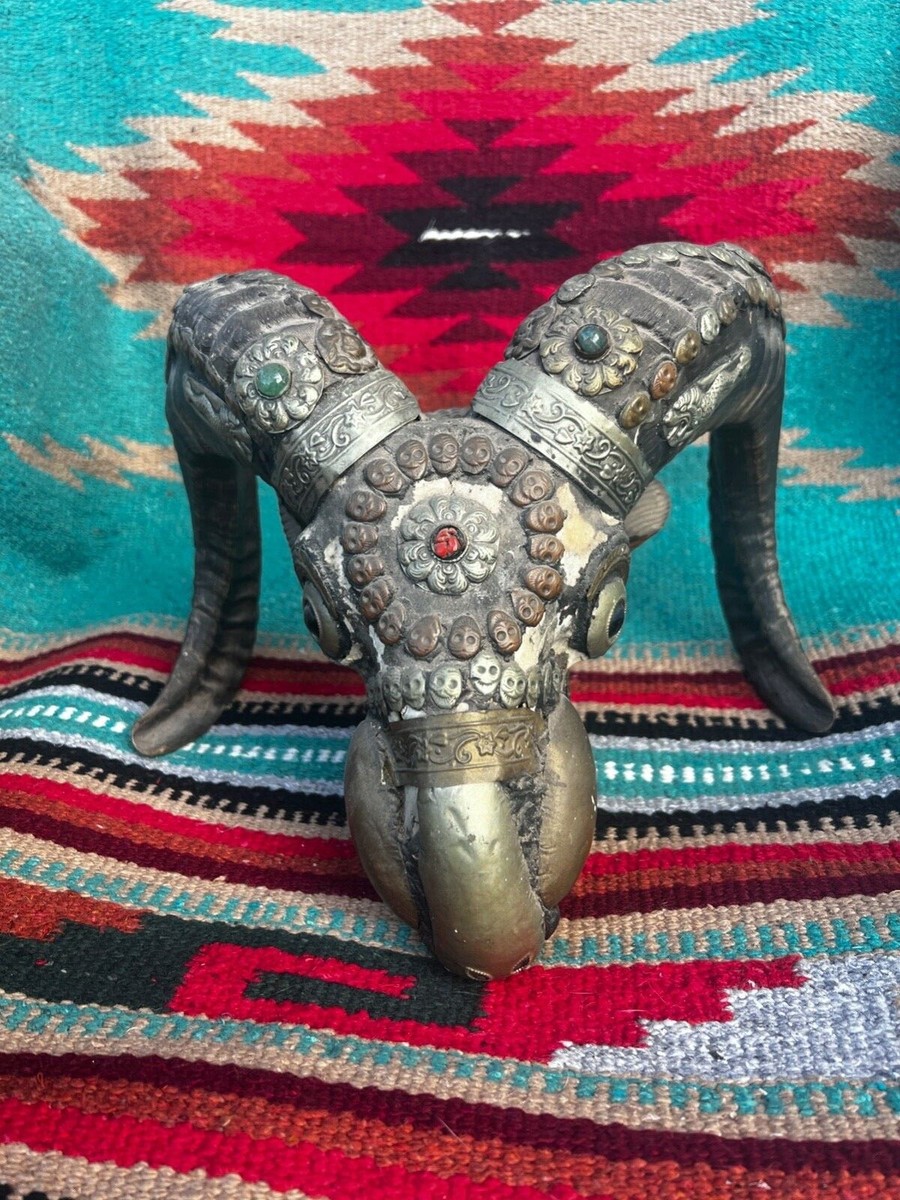 Vintage Rare ceremonial Ram Skull Old Tibetan Kapala Goat Ritual