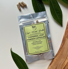 Chaparral Leaf Powder Capsules  Wildcrafted Larrea Tridentata  530mg