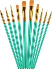 10 Pcs Paint Brushes for Acrylic Painting, Round Pointed Tip Detail Small Paint