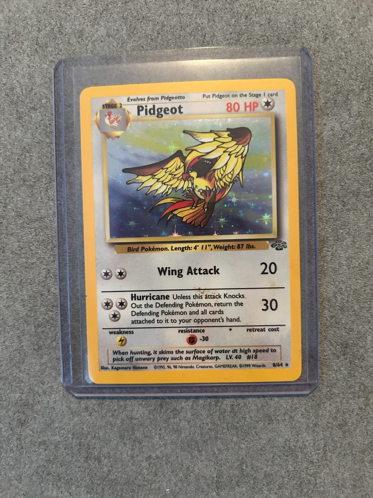 Pokemon TCG Pidgeot 08/64 Jungle Holo