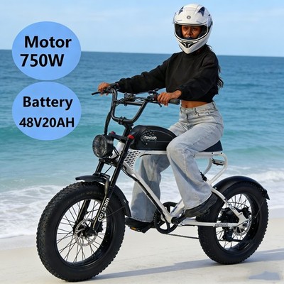 MEELOD DK300 PLUS 20 Zoll Elektrofahrrad 48V 20AH 750W E-Mountainbike7 Gänge DE