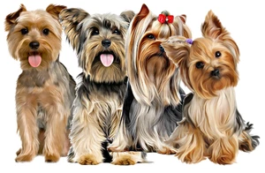 Yorkshire Terrier Self Adhesive Dog Sticker