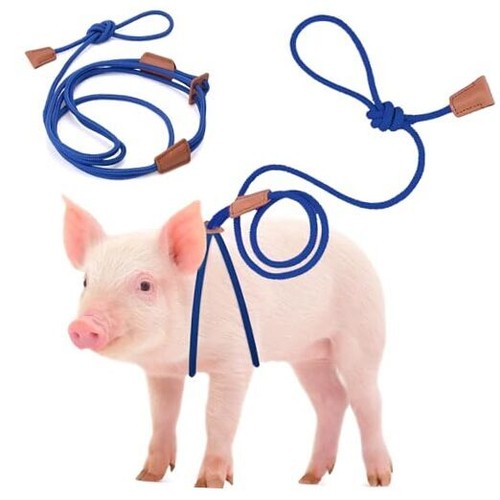 Mini Pig Harness & Leather, Pet Pig Supplies, Adjustable Rope (9 inches Blue eBay
