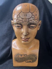 Phrenology Bust, Dr. Willarton, Vintage Phrenology Head, Oddities, Curiosities