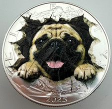 Pug Breaking Out - American Silver Eagle Edición Limitada. Moneda de dólar de plata 0,999 de 1 oz