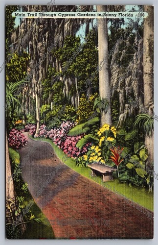 Vintage Postcard Main Trail Through Cypress Gardens In Sunny Florida