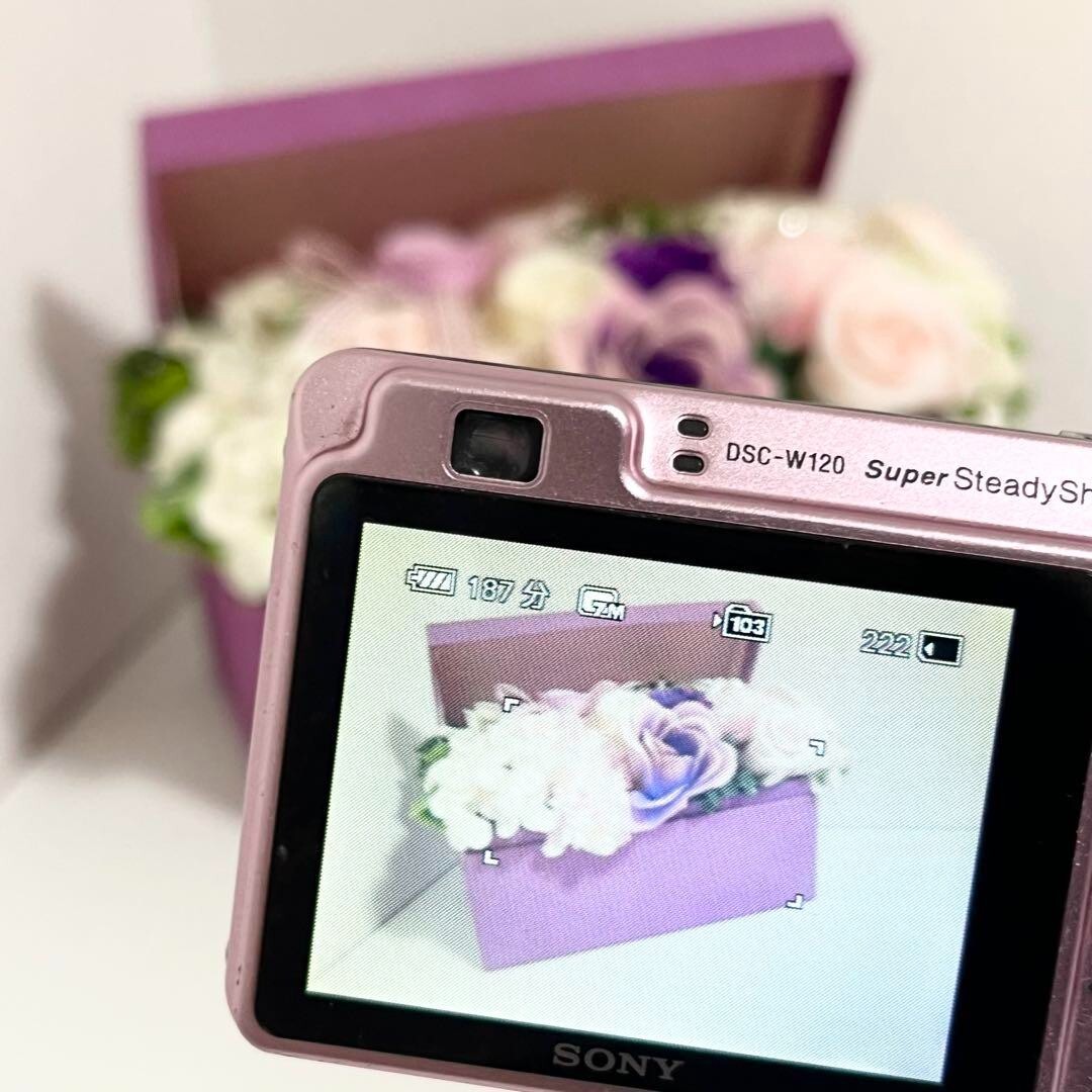 SONY Cyber Shot DSC-W120 7.2MP Compact Digital Camera Pink