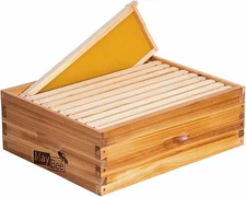 10-Frame Beehive Box Langstroth Medium Super Bee Box for Sale Wax Coated Bee Hiv