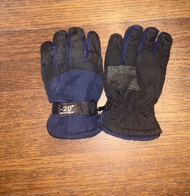 -20 Degree Waterproof Winter Gloves