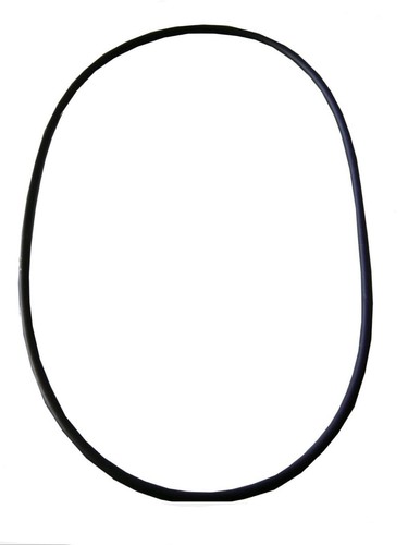 ORING O RING ONLY FOR WATERCO NALLY S75 3 / 4 LUG VAC VACUUM PLATE SWIMMING POOL - Picture 3 of 3
