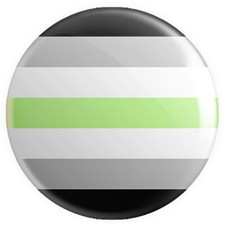 LGBTQ+ Pride Flags BUTTON PIN BADGE 25mm 1 INCH LGBTQIA+ Gay Gender LGBT