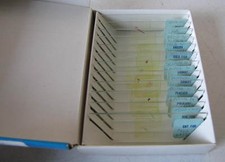 PREPARED MICROSCOPE SLIDES/VETRINI PER MICROSCOPIO ANNI 70