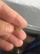 Zeta Omicron Fraternity Sorority Gold Tone Chapter Guard Pin    (i2023i)