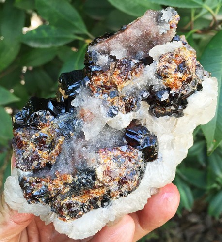 631g Nuovo Trova Raro Vino Naturale Sfalerite Rosso QUARZO Campione ic6200 - Foto 7 di 12