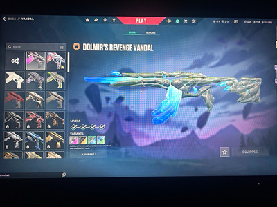 VALORANT STACKED ACCOUNT, IMMORTAL PEAK + GUN BUDDY, EU
