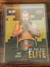 Chris Jericho We Are All Elite 2023 Upper Deck AEW Card # AE-3